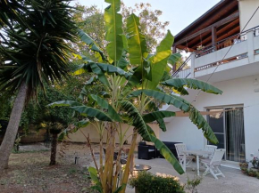 LA CASA DEL NOCE